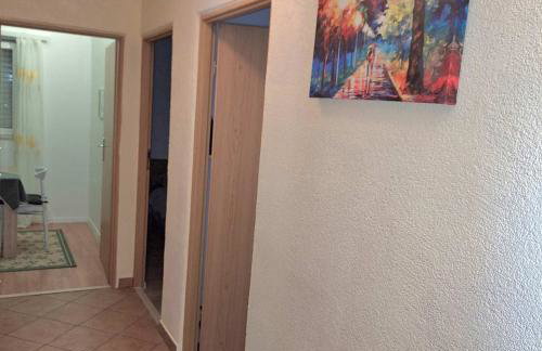 Apartmani Hana - Foto 46