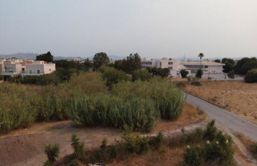 Sofita Di Sofo - Foto 31