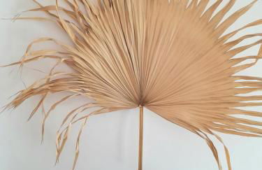 PENINSULAR HOUSE - Foto 6