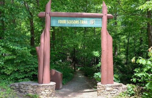 Log Cabin Walkable to Lake Lure & Chimney Rock - Blue Skies - Foto 28