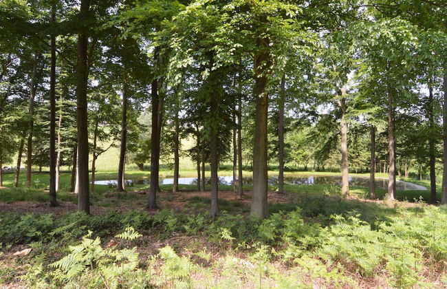 Luxurious Country House - Photo 32