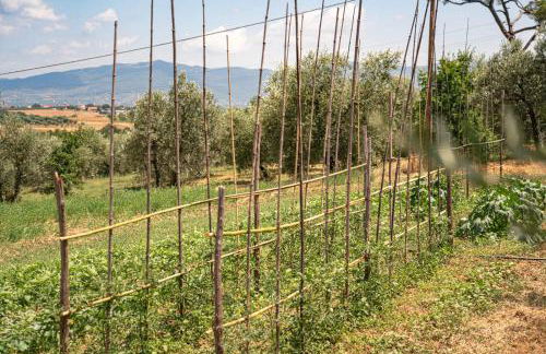 Il Querciolo - Azienda biologica, Agriturismo e Cantina - Foto 46