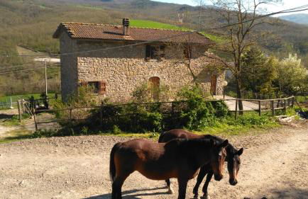 La Cartiera dei Benandanti - Foto 117