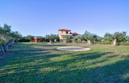 Agroktima Elia - Foto 62