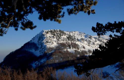 Tana Libera Tutti 3 Nature, Yourself, Love - Foto 33