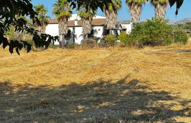 La chumbera - Foto 20