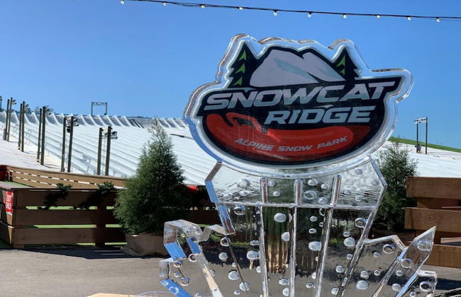 7 Room Saddlebrook Golf SPA Villa 5BR 4BA - Photo 58