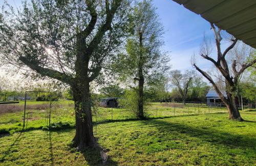 Grandma's House at Rosewood Lodge - Foto 33