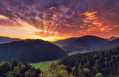 Kehrerhof Urlaub auf dem Bauernhof - Photo 9