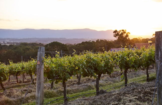 Wandin Valley Estate - Photo 40