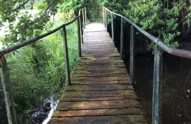 Gîte nature - 4 personnes à Signy-le-Petit - Foto 9