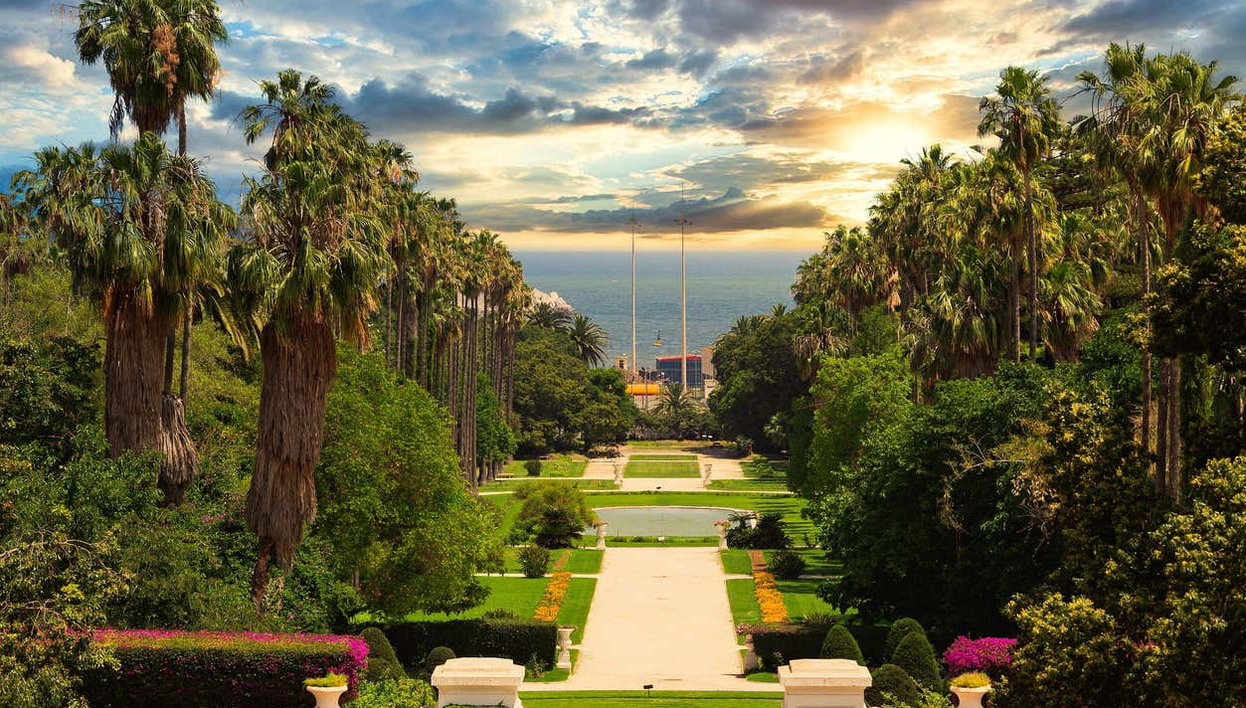 Best of Algiers Tour - Photo 2, Views from Hamma Botanical Garden