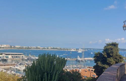 Place du Suquet - In the hart of old Cannes - 2 Min Walking distance from Palais de Festivals and Beaches - Photo 36