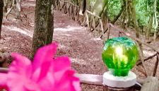 Agriturismo Parco dai Nonni - Foto 3