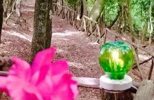 Agriturismo Parco dai Nonni - Foto 3