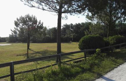 Residence Adriatico - Foto 56