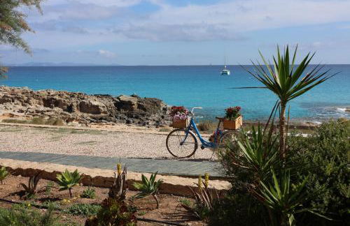 Apartamentos Es Caló - Photo 8