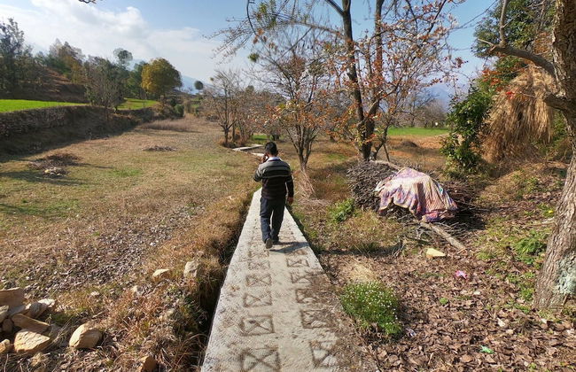 Tree of Life Junoon in The Hills - Foto 27