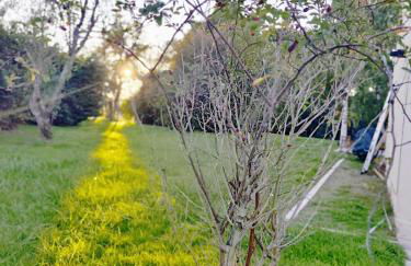 Felicità - Longère with swimming pool and large garden - Photo 6