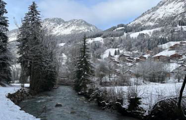 Cosy 2 pièces proche Châtel - Foto 30