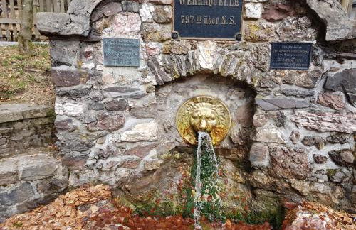 Ferienhaus Lyhs - Foto 80