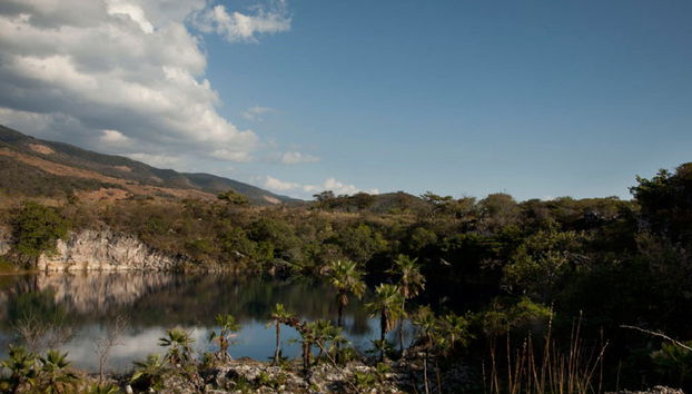 Diving in Cenote Chucumaltik - Foto 3