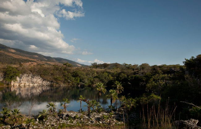 Diving in Cenote Chucumaltik - Foto 3