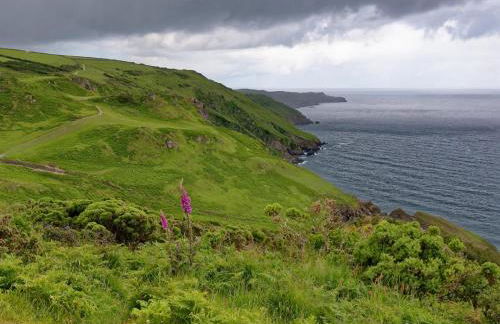 1 Bed in Ilfracombe oc-91651 - Foto 20