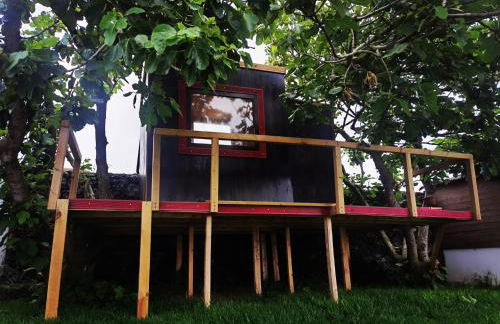 Azores Cow House - Photo 23