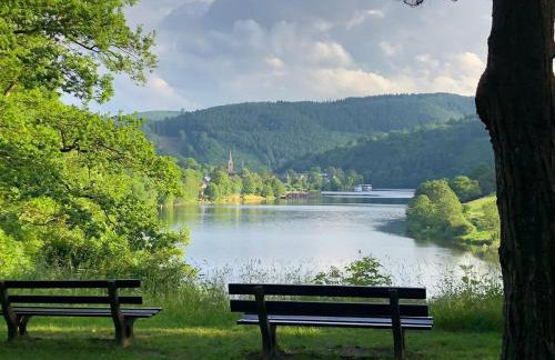 Urlaub in der Eifel direkt am Rursee - Seeblick - Foto 10