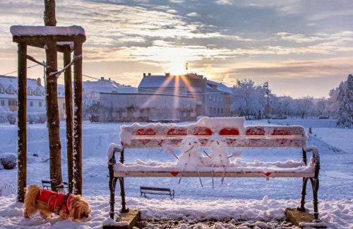 Studio apartment PANORAMA - Foto 66