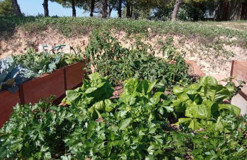 Romegosa Benestar - Foto 40