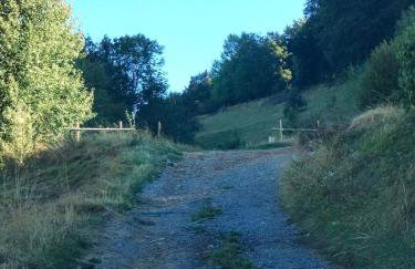 Les Chatcureuils - Foto 24