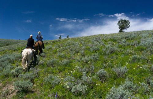 Charming Alpine Log Cabin for Family Vacation near Cora, Wyoming - Photo 13