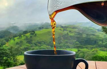 Cabana Bad Wolf - Rancho Queimado - SC - Foto 39