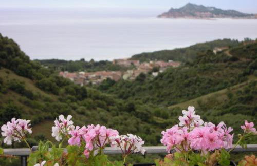 Appartamenti Con Vista Panoramica - Foto 1