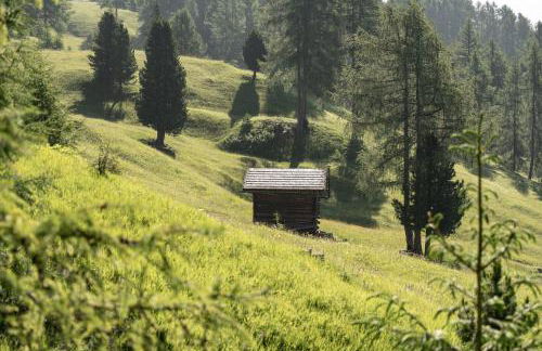 Ciasa Iachin - Dolomites Dream Retreat - Photo 71