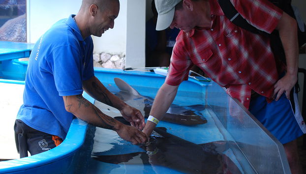 Visita all'Acquario Marino - Foto 2