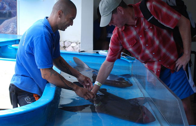 Visita all'Acquario Marino - Foto 2