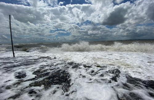Nordseeurlaub im hochwertigen Feriendomizil Rosenhuus mit Sauna und Kamin im idyllischen Butjadingen - Foto 25
