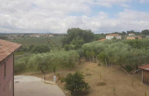 Casa sull'Albero Treehouse Costa dei Trabocchi - Foto 24