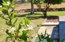 House Castiadas tra Mare e Montagna - Foto 1