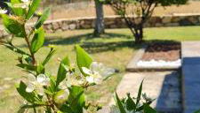 House Castiadas tra Mare e Montagna - Foto 1, Garden view