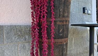 CASA VACANZE LA BRENTA - Foto 4