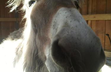 Agriturismo La Fonte di Mariella - Foto 91