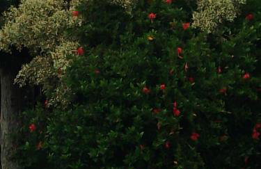 Kitnet Pousada da T - Foto 12