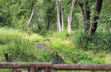 Jolly Old House - Foto 19