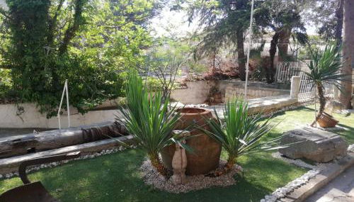 Wild Paradise - Foto 1, Garden