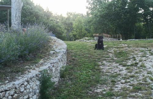 La Terrazza delle Noci - alloggio agrituristico - Foto 26