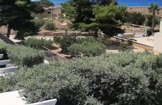 stella di ponente - Foto 38